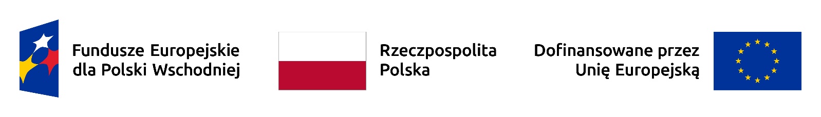 Dofinansowane przez Unię Europejską